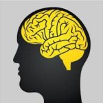 adrenalina e memoria