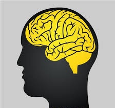 adrenalina e memoria